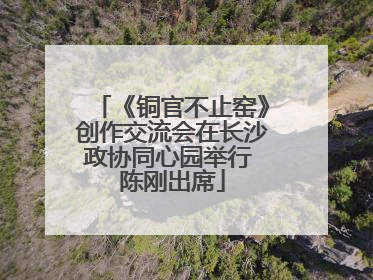 《铜官不止窑》创作交流会在长沙政协同心园举行 陈刚出席