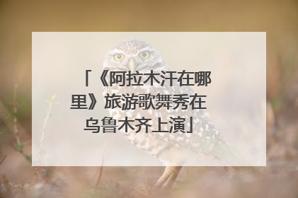 《阿拉木汗在哪里》旅游歌舞秀在乌鲁木齐上演