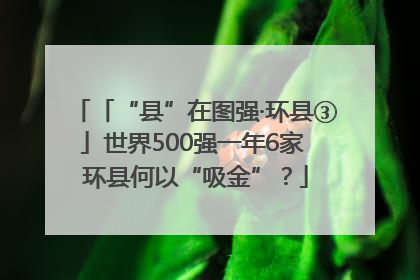 「“县”在图强·环县③」世界500强一年6家 环县何以“吸金”？