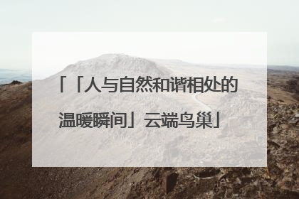 「人与自然和谐相处的温暖瞬间」云端鸟巢