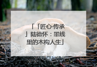 「匠心·传承」陆德怀：墨线里的木构人生