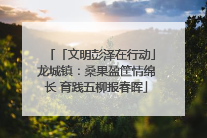 「文明彭泽在行动」龙城镇：桑果盈筐情绵长 育践五柳报春晖