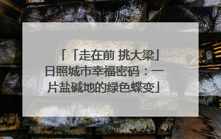 「走在前 挑大梁」日照城市幸福密码：一片盐碱地的绿色蝶变