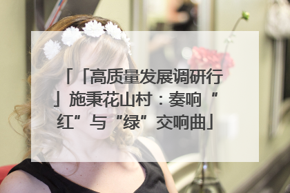 「高质量发展调研行」施秉花山村：奏响“红”与“绿”交响曲