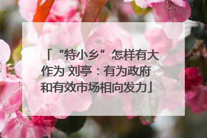 “特小乡”怎样有大作为 刘亭：有为政府和有效市场相向发力