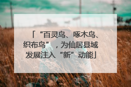 “百灵鸟、啄木鸟、织布鸟”，为仙居县域发展注入“新”动能
