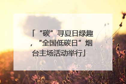 “碳”寻夏日绿趣，“全国低碳日”烟台主场活动举行