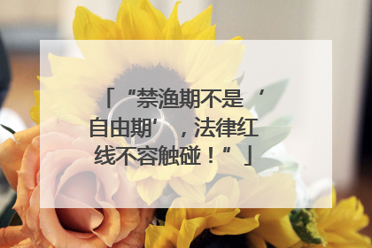 “禁渔期不是‘自由期’，法律红线不容触碰！”