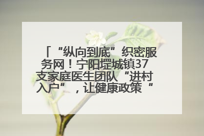“纵向到底”织密服务网！宁阳堽城镇37支家庭医生团队“进村入户”，让健康政策“落地生根”