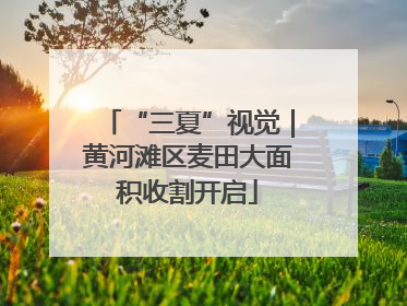 “三夏”视觉｜黄河滩区麦田大面积收割开启