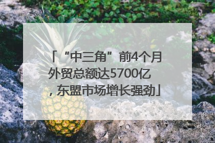 “中三角”前4个月外贸总额达5700亿，东盟市场增长强劲