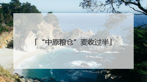 “中原粮仓”麦收过半