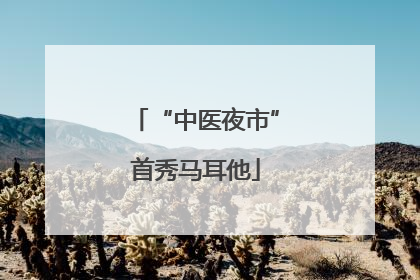“中医夜市”首秀马耳他