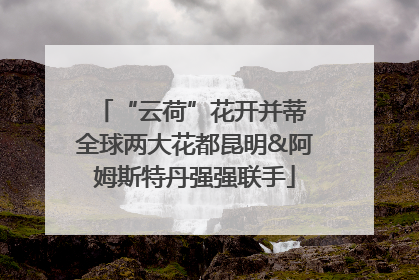 “云荷”花开并蒂 全球两大花都昆明&阿姆斯特丹强强联手
