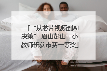 “从芯片视频到AI决策” 眉山彭山一小教师斩获市赛一等奖