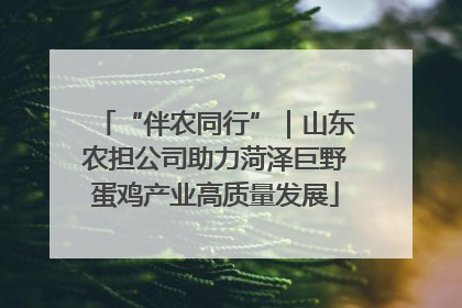 “伴农同行”｜山东农担公司助力菏泽巨野蛋鸡产业高质量发展