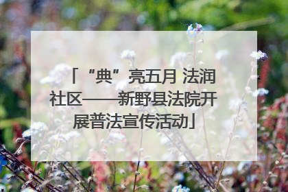 “典”亮五月 法润社区——新野县法院开展普法宣传活动