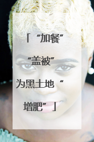 “加餐”“盖被” 为黑土地“增肥”
