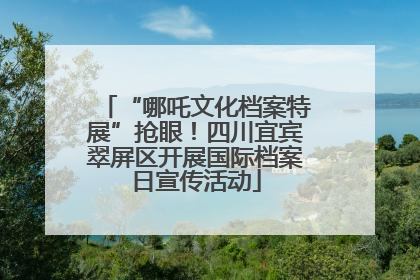 “哪吒文化档案特展”抢眼！四川宜宾翠屏区开展国际档案日宣传活动