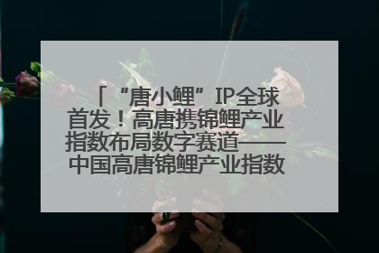 “唐小鲤”IP全球首发！高唐携锦鲤产业指数布局数字赛道——中国高唐锦鲤产业指数暨“唐小鲤”IP全球首发仪式在杭州举行