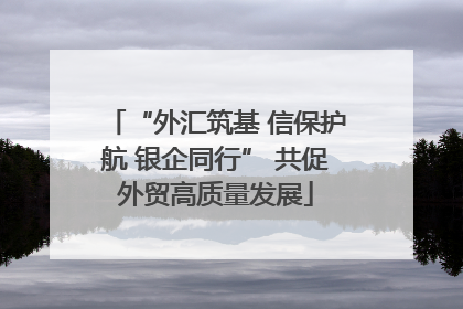 “外汇筑基 信保护航 银企同行” 共促外贸高质量发展