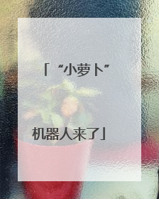 “小萝卜”机器人来了