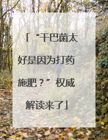“干巴菌太好是因为打药施肥？”权威解读来了