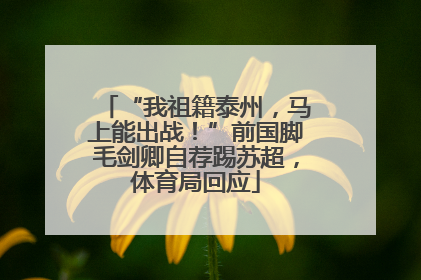 “我祖籍泰州，马上能出战！”前国脚毛剑卿自荐踢苏超，体育局回应