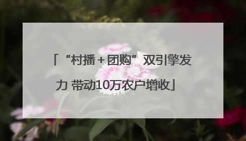 “村播＋团购”双引擎发力 带动10万农户增收