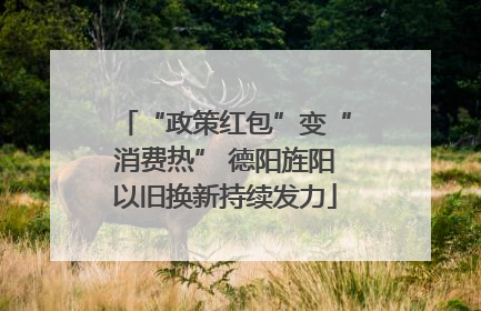 “政策红包”变“消费热” 德阳旌阳以旧换新持续发力