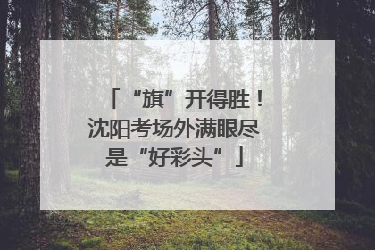 “旗”开得胜！沈阳考场外满眼尽是“好彩头”