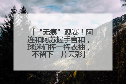“无痕”观赛！阿连和阿苏握手言和，球迷们挥一挥衣袖，不留下一片云彩