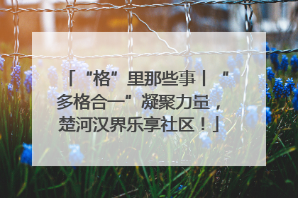 “格”里那些事丨“多格合一”凝聚力量，楚河汉界乐享社区！