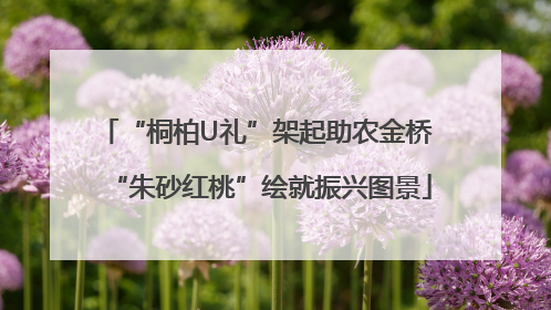 “桐柏U礼”架起助农金桥 “朱砂红桃”绘就振兴图景