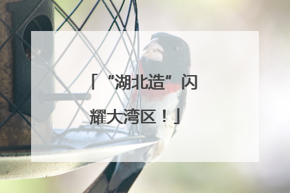 “湖北造”闪耀大湾区！