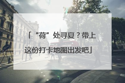“荷”处寻夏？带上这份打卡地图出发吧