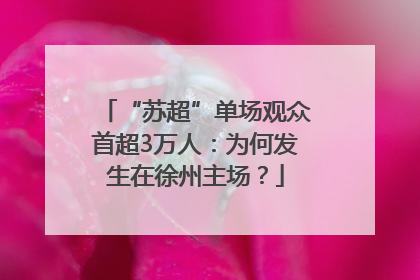 “苏超”单场观众首超3万人：为何发生在徐州主场？