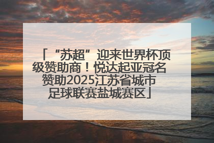 “苏超”迎来世界杯顶级赞助商！悦达起亚冠名赞助2025江苏省城市足球联赛盐城赛区