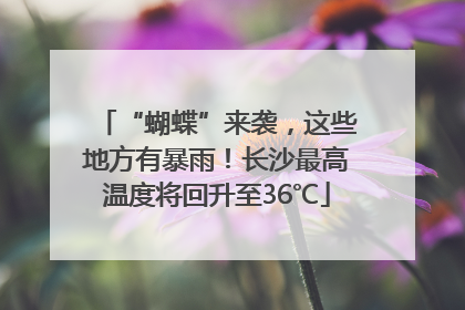 “蝴蝶”来袭，这些地方有暴雨！长沙最高温度将回升至36℃