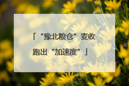 “豫北粮仓”麦收跑出“加速度”