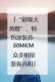 “超级大黄蜂”、特色涂装苏-30MKM 众多明星装备亮相