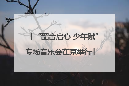 “韶音启心 少年赋”专场音乐会在京举行