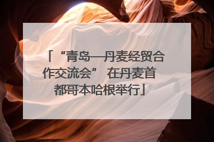 “青岛—丹麦经贸合作交流会” 在丹麦首都哥本哈根举行