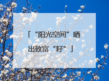 “阳光空间”晒出致富“籽”