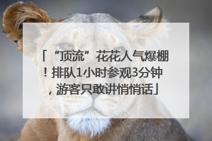 “顶流”花花人气爆棚！排队1小时参观3分钟，游客只敢讲悄悄话