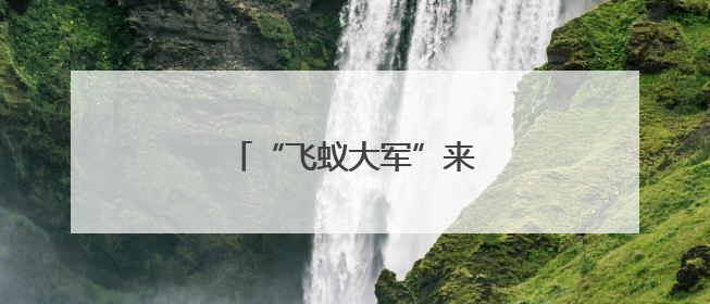 “飞蚁大军”来了，如何防？