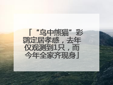 “鸟中熊猫”彩鹮定居孝感，去年仅观测到1只，而今年全家齐现身