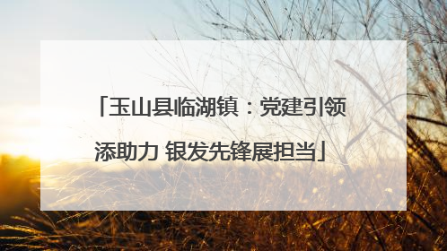 玉山县临湖镇：党建引领添助力 银发先锋展担当