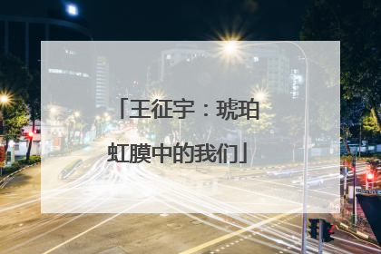 王征宇：琥珀虹膜中的我们