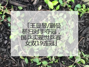王曼昱/蒯曼横扫对手夺冠，国乒实现世乒赛女双19连冠